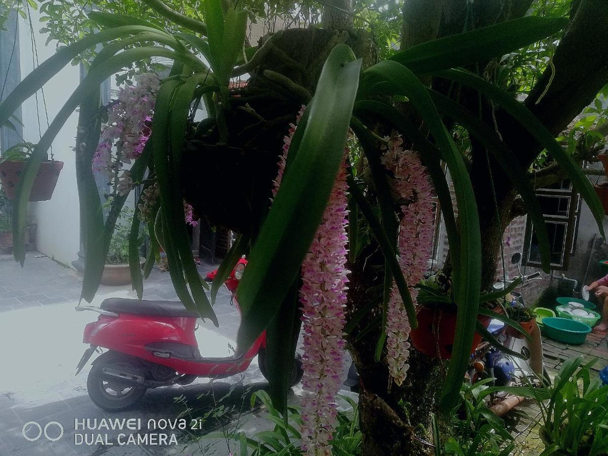 Tamcoc Mr. Cau Homestay Ninh Binh Exterior foto